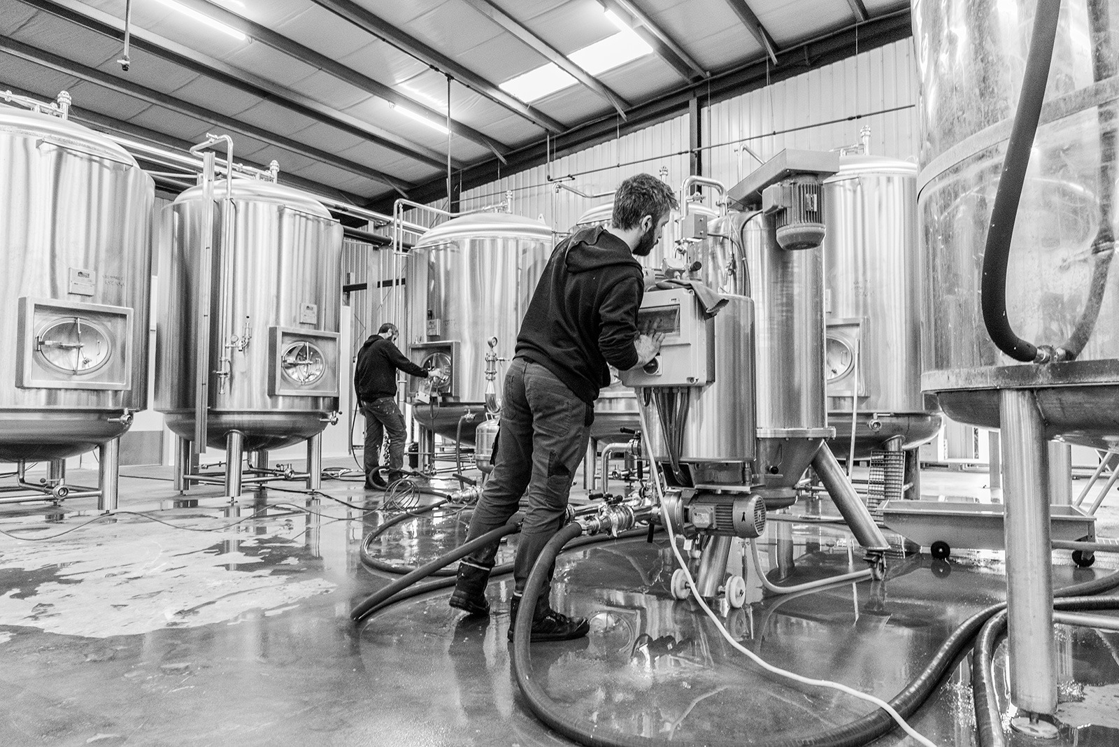 Brassage en cours